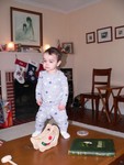 No, he's not SUPPOSED to be on the coffee table, but he sure looks cute!