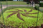 When you've spent your money on everything you can imagine, then you spend extra on having your lettuce planted in the shape of a sun.  Glensheen.