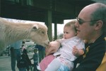 Samantha and Daddy feed a goat at the farm babies exhibit at the Minnesota Zoo.  Samantha does NOT like goats.