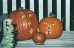 Our special pumpkins for a special Hallowe'en-- Sammi's first.