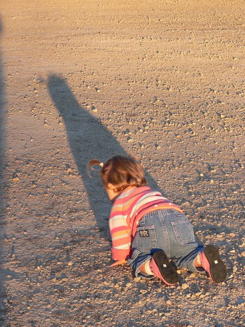 The autumn sun casts a long shadow on Samantha as she exhibits her independent streak.
