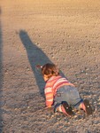 The autumn sun casts a long shadow on Samantha as she exhibits her independent streak.